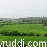 'ಪೂರ್ವ ಶಿಷ್ಟ ಪದ್ದತಿ'ಗಳನ್ನು ಪಾಲಿಸಿದ ಕೃಷಿ