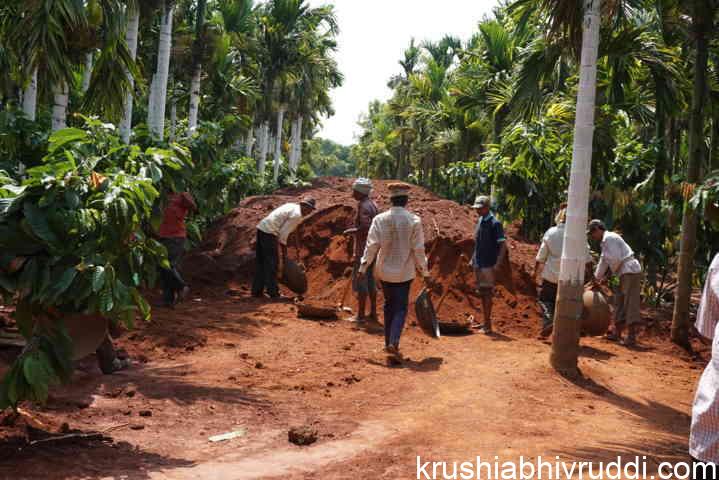 ತೋಟಕ್ಕೆ ಮಣ್ಣು ಹಾಕಲು ಸಿದ್ದತೆ