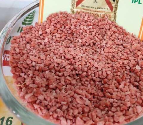 ಹರಳು ರೂಪದ ಮ್ಯುರೇಟ್ ಆಫ್ ಪೊಟ್ಯಾಶ್