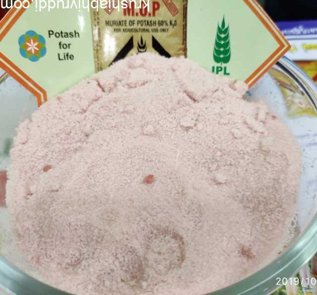 ಬಿಳಿ ಮ್ಯುರೇಟ್ ಆಪ್ ಪೊಟ್ಯಾಶ್