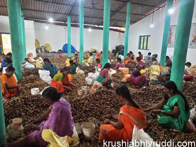 ‘ಅಡಿಕೆ ಕಣ’