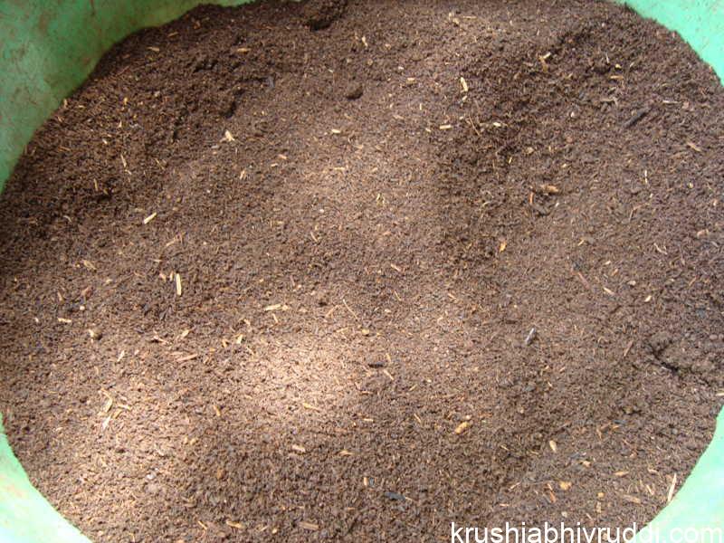  ವಿದೇಶಿ ಎರೆ ಹುಳು ಮಾಡಿದ ಹುಡಿ ಗೊಬ್ಬರ