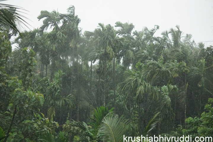 ಮಳೆ ಬರುವ ಮುನ್ಸೂಚನೆ