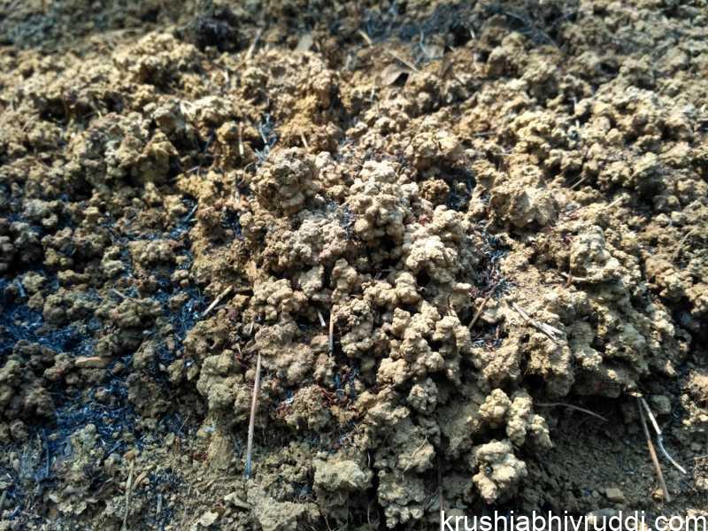 ಮಣ್ಣಿನ ಎರೆಹುಳುಗಳು ಸಾವಯವ ವಸ್ತು ತಿಂದು ಹೊರ ಹಾಕುವ ಸಸ್ಯಗಳು ಬಳಸಬಹುದಾದ ಸಾರಯುಕ್ತ ಎರೆ ಮಣ್ಣು 