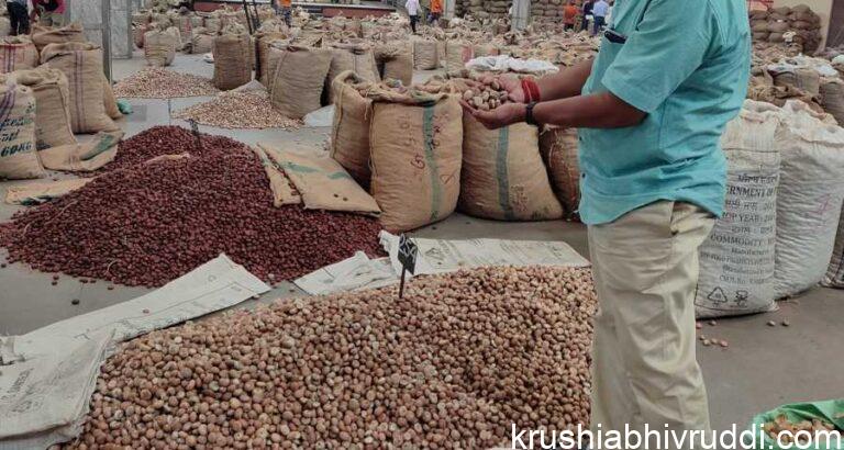 ಚಾಲಿ, ಕೆಂಪು ಎರಡೂ ತೇಜಿ