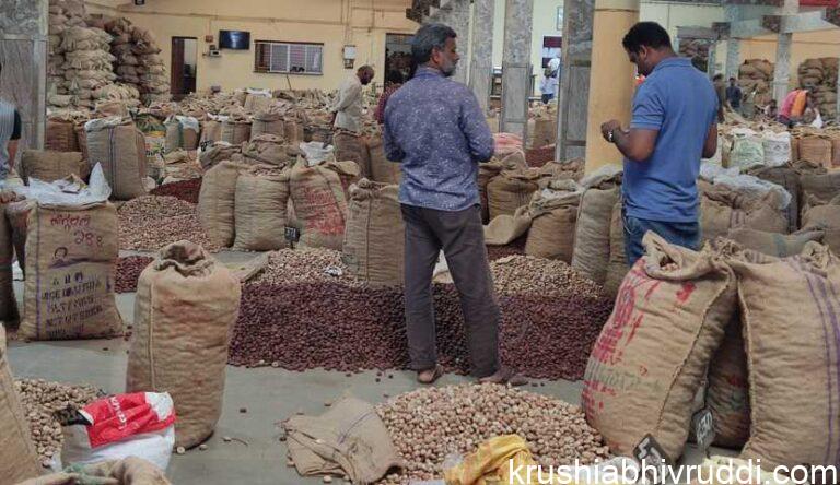 ಕೆಂಪು ರಾಶಿ ಸ್ವಲ್ಪ ಹಿನ್ನಡೆ – ಚಾಲಿಗೆ ಬೇಡಿಕೆ