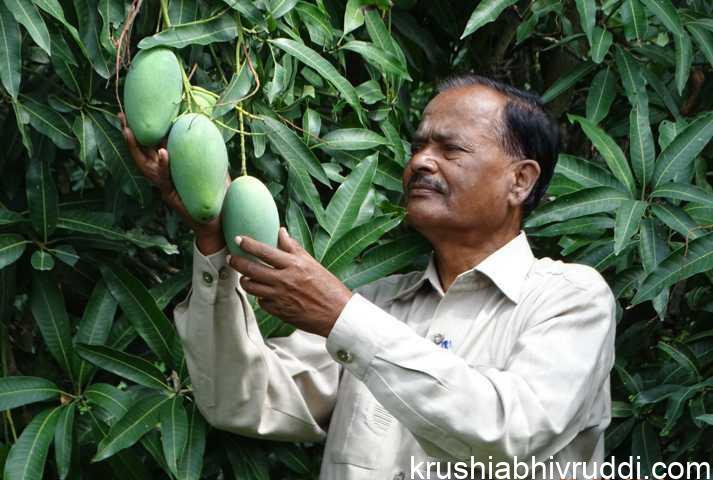 ಎನ್ ಸಿ ಪಟೇಲ್ ರವರಿಗೆ ಗೌರವ ಡಾಕ್ಟರೇಟ್