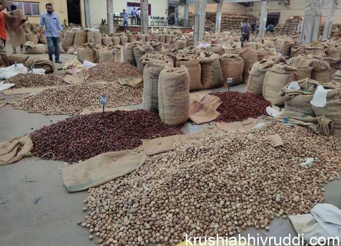 ಅಡಿಕೆಯ ಧಾರಣೆ ಏನಾಗಬಹುದು? ಇಳಿಕೆಯೋ ಏರಿಕೆಯೋ