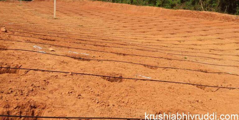 ಹನಿ ನೀರಾವರಿಯಲ್ಲಿ ನಿಮ್ಮ ಅನುಭವ- ರೈತರಿಂದ ರೇಟಿಂಗ್ ಅಗತ್ಯ.