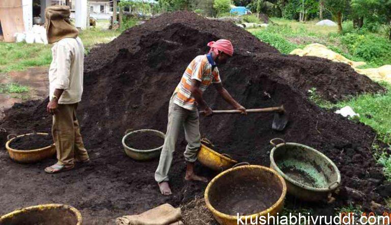 ಕುರಿ – ಕೋಳಿ ಗೊಬ್ಬರ ಸದ್ಯಕ್ಕೆ ಬಳಸಬೇಡಿ. ಎಲೆ ಚುಕ್ಕೆಗೆ ಇದೂ ಕಾರಣವಾಗಬಹುದು