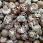 ಅಡಿಕೆ ಮಾರುಕಟ್ಟೆಯಲ್ಲಿ ತಲ್ಲಣಿಕೆ. ಮುಂದಿದೆ ಭಾರೀ ಅನಿಶ್ಚಿತತೆ