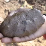 ಮಣ್ಣಿನ pH ಎಂದರೇನು? ಕಡಿಮೆ-ಹೆಚ್ಚು ಆದಾಗ ಏನಾಗುತ್ತದೆ?