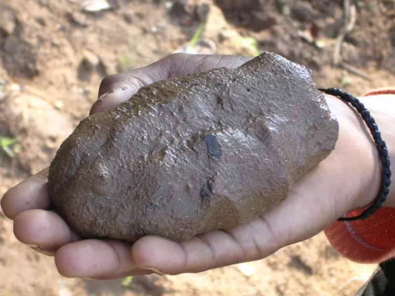 ಮಣ್ಣಿನ pH ಎಂದರೇನು? ಕಡಿಮೆ-ಹೆಚ್ಚು ಆದಾಗ ಏನಾಗುತ್ತದೆ?