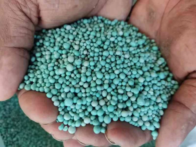 Micronutrients prevent disease and higher yields.