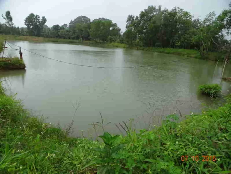 ಹವಾಮಾನ ಬದಲಾವಣೆಯಿಂದ ಅಂತರ್ಜಲ 3 ಪಟ್ಟು ಕುಸಿತವಾಗಲಿದೆ!