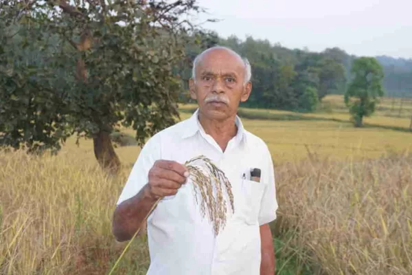 ವೃತ್ತಿ ಪ್ರೌಢತೆ ಪಡೆದುಕೊಂಡ ಓರ್ವ ಕಾಫೀ, ಮೆಣಸು ಭತ್ತದ ಕೃಷಿಕ ವೈ ಎಸ್ ರುದ್ರಪ್ಪ, ಸಕಲೇಶಪುರ, ಬಾಗೆಯ ಕೃಷಿಕರು.