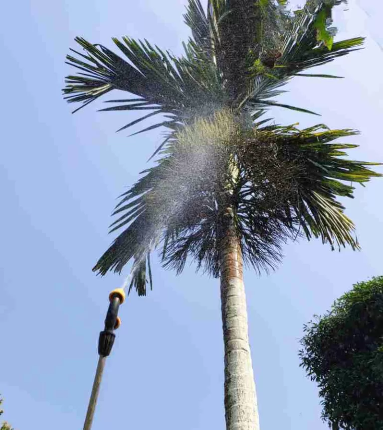 ಎಲೆಗಳಿಗೆ ಗೊಬ್ಬರ ಸಿಂಪರಣೆ ಮಾಡುವುದರಿಂದ ಪ್ರಯೋಜನಗಳು.