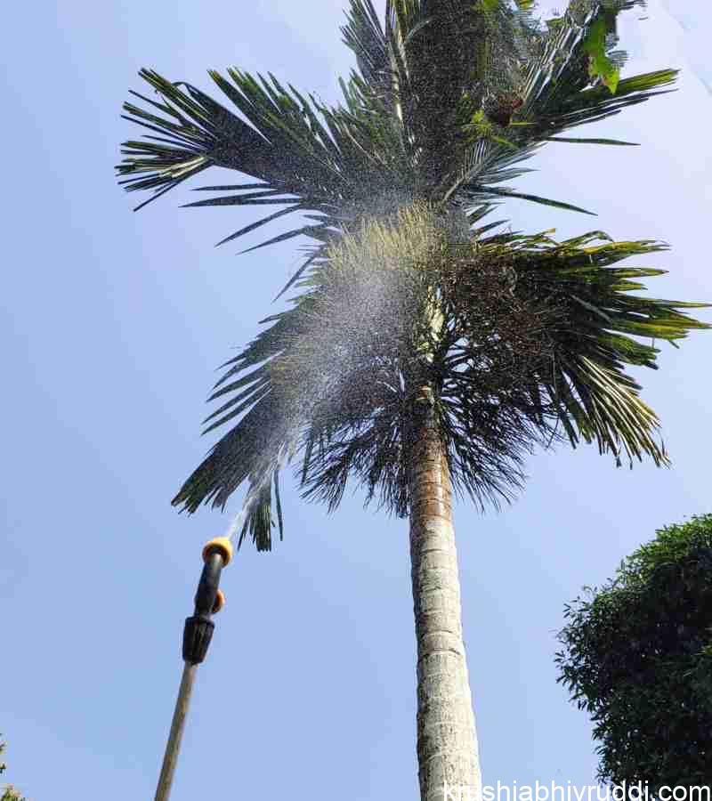 ಎಲೆಗಳಿಗೆ ಗೊಬ್ಬರ ಸಿಂಪರಣೆ ಮಾಡುವುದರಿಂದ ಪ್ರಯೋಜನಗಳು