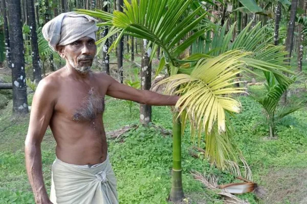 ಬೇರು ಹುಳ ನಿಯಂತ್ರಣಕ್ಕೆ ಇದು ಸಕಾಲ.