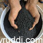 The Role of Potassium Humate in Enhancing Horticulture Crop