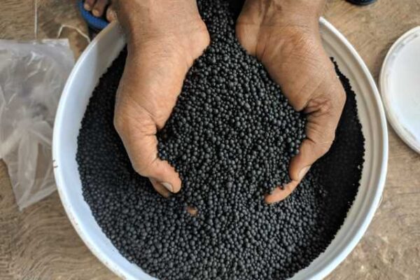 The Role of Potassium Humate in Enhancing Horticulture Crop