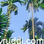 ಔಷಧಿ ಸಿಂಪರಣೆ ಮಾಡುವ ಸರಿಯಾದ ವಿಧಾನ.