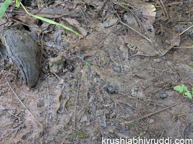 ನೀರು ಬಸಿಯಲು ಅನನುಕೂಲ ದ ಸ್ಥಿತಿ.