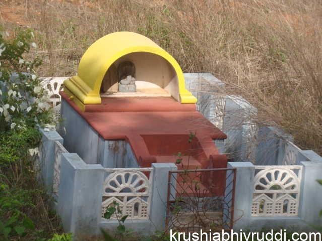 ಆಧುನಿಕ ನಾಗ ಬನ!