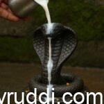 ನಾಗನಿಗೆ ಹಾಲೆರೆಯುವುದರಿಂದ ಏನೇನು ಲಾಭವಿದೆ?