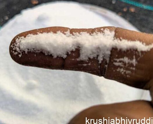 white crystal form