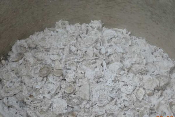 The Essential Nutrient Farmers Are Not Aware Of