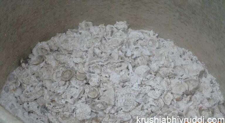 The Essential Nutrient Farmers Are Not Aware Of