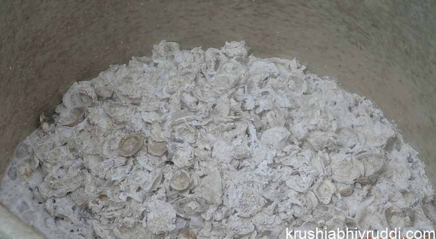 The Essential Nutrient Farmers Are Not Aware Of