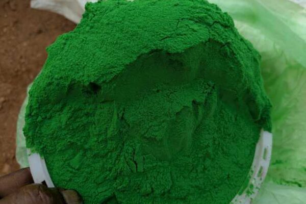 Micronutrients in Horticulture Crops: Key to Healthy Growth and High Yields