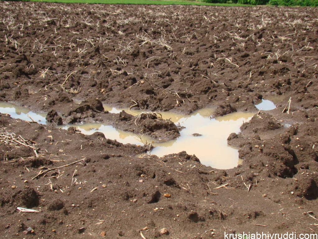 Anaerobic Soil Condition