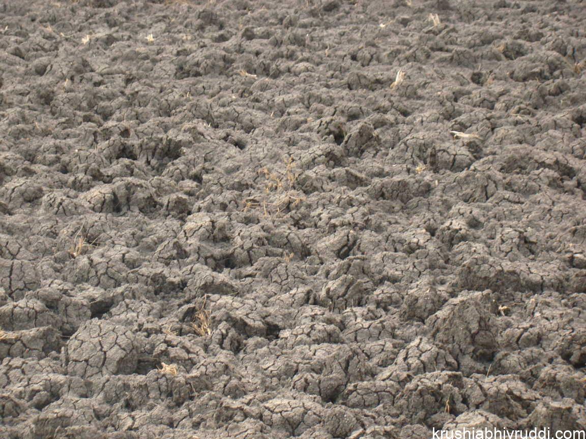 Aerobic vs Anaerobic Soil Conditions: How They Affect Plant Growth and Health