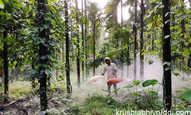 Lime Application for Soil Amendment: Boosting Soil Health and Plant Growth