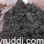 Keep Your Soil Healthy Without Lime – The Natural Way to Maintain Neutral Soil