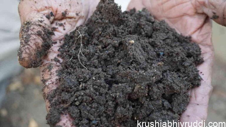 ಸುಣ್ಣ ಬಳಕೆ ಮಾಡದೆ ಮಣ್ಣಿನ ಆರೋಗ್ಯ ಕಾಪಾಡಿ – ನೈಸರ್ಗಿಕವಾಗಿ ಮಣ್ಣಿನ ಸಮತೋಲನ ಕಾಪಾಡುವ ಮಾರ್ಗ