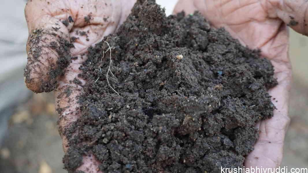 Keep Your Soil Healthy Without Lime – The Natural Way to Maintain Neutral Soil