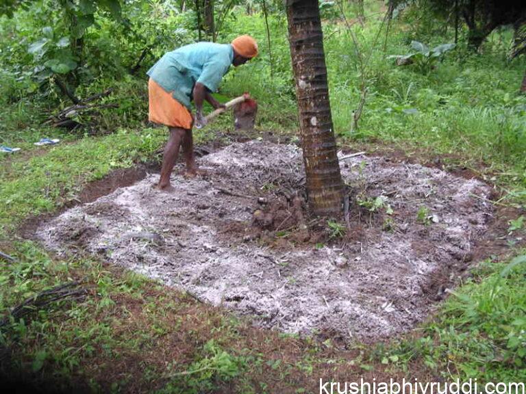 Application of Calcium — For pH or Plant Nutrition? Know the Difference