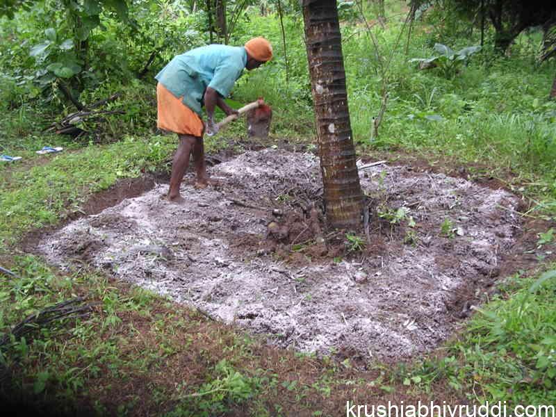 Application of Calcium — For pH or Plant Nutrition? Know the Difference