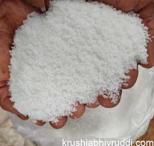 Urea fertilizer 