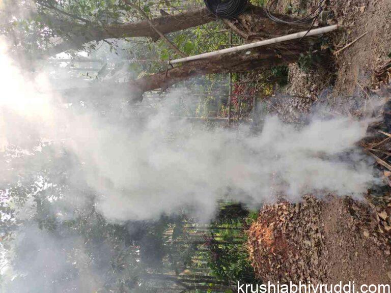ಹೊಗೆ” ಬೆಳೆ ಸಂರಕ್ಷಣೆ ಪರಿಸರ ಸ್ನೇಹೀ ವಿಧಾನ.