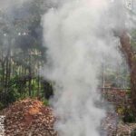 ಹೊಗೆ” ಬೆಳೆ ಸಂರಕ್ಷಣೆ ಪರಿಸರ ಸ್ನೇಹೀ ವಿಧಾನ.