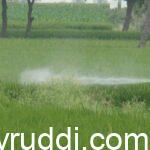 Systematic Use of Pesticides and Fungicides: The Right Dose, Right Method