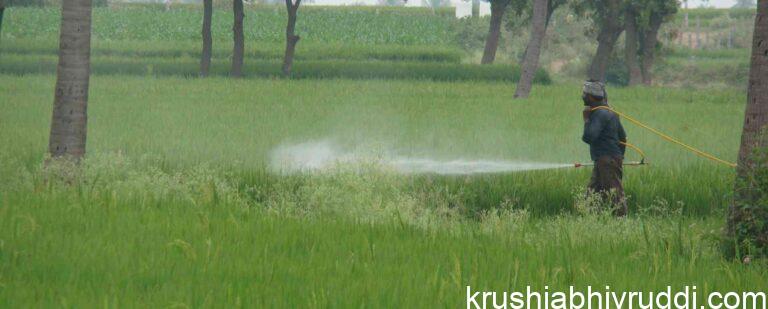 Systematic Use of Pesticides and Fungicides: The Right Dose, Right Method, Right Impact