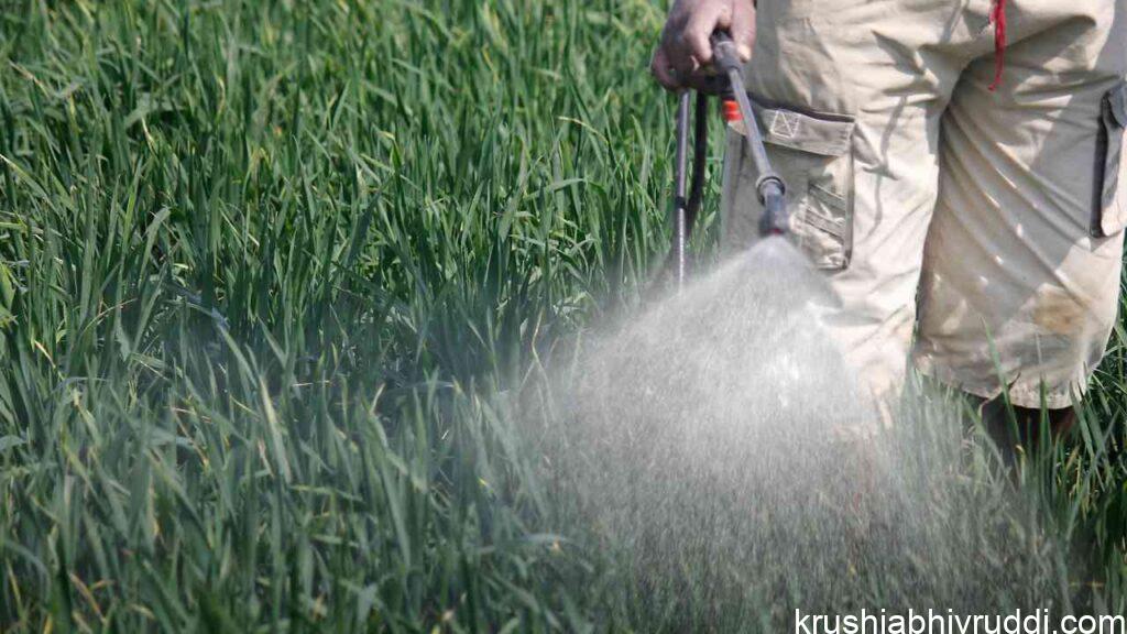 ಕೀಟನಾಶಕ ಮತ್ತು ಶಿಲೀಂಧ್ರನಾಶಕಗಳ ವ್ಯವಸ್ಥಿತ ಬಳಕೆ: ಸರಿಯಾದ ಪ್ರಮಾಣ, ಸರಿಯಾದ ವಿಧಾನ ಮತ್ತು ದೀರ್ಘಕಾಲದ ಪರಿಣಾಮ