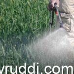 ಕೀಟನಾಶಕ ಮತ್ತು ಶಿಲೀಂಧ್ರನಾಶಕಗಳ ವ್ಯವಸ್ಥಿತ ಬಳಕೆ: ಸರಿಯಾದ ಪ್ರಮಾಣ, ಸರಿಯಾದ ವಿಧಾನ ಮತ್ತು ದೀರ್ಘಕಾಲದ ಪರಿಣಾಮ