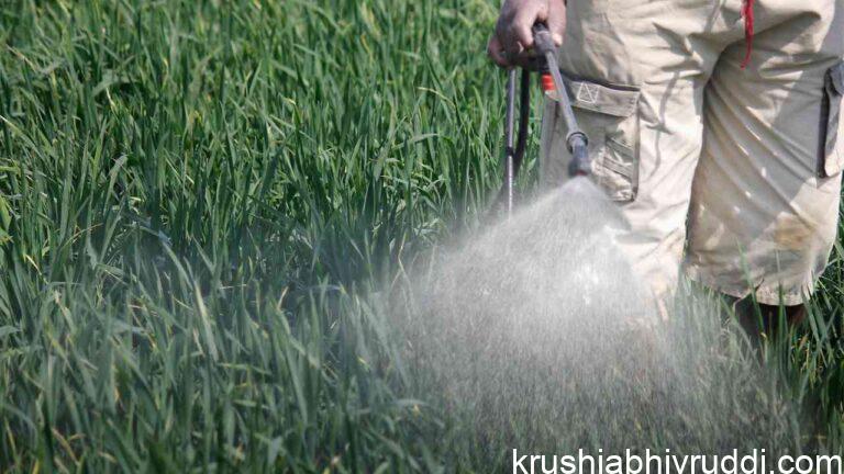 ಕೀಟನಾಶಕ ಮತ್ತು ಶಿಲೀಂಧ್ರನಾಶಕಗಳ ವ್ಯವಸ್ಥಿತ ಬಳಕೆ: ಸರಿಯಾದ ಪ್ರಮಾಣ, ಸರಿಯಾದ ವಿಧಾನ ಮತ್ತು ದೀರ್ಘಕಾಲದ ಪರಿಣಾಮ